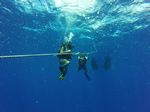 Hawaii Scuba divng 02