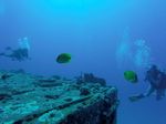 Hawaii Scuba divng 34