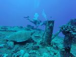 Hawaii Scuba divng 36