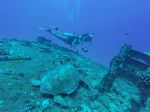 Hawaii Scuba divng 38