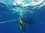 Hawaii Scuba divng 04