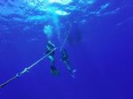 Hawaii Scuba divng 05