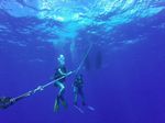 Hawaii Scuba divng 06