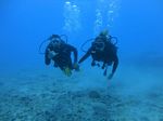 Hawaii Scuba divng 11