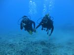 Hawaii Scuba divng 11