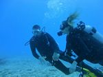 Hawaii Scuba divng 12