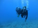 Hawaii Scuba divng 16