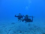 Hawaii Scuba divng 17