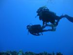 Hawaii Scuba divng 18