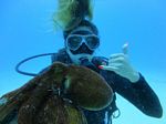 Hawaii Scuba divng 29