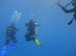 Hawaii Scuba divng 33