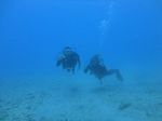 Hawaii Scuba divng 39