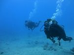 Hawaii Scuba divng 41