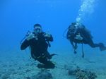 Hawaii Scuba divng 42