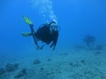 Hawaii Scuba divng 43