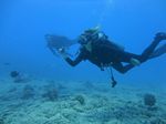 Hawaii Scuba divng 44