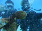 Hawaii Scuba divng 49