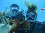 Hawaii Scuba divng 51