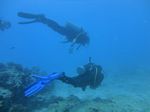 Hawaii Scuba divng 56