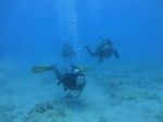 Hawaii Scuba divng 57