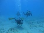 Hawaii Scuba divng 57