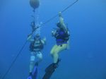 Hawaii Scuba divng 11