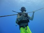 Hawaii Scuba divng 12