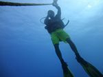 Hawaii Scuba divng 13