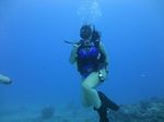 Hawaii Scuba divng 15