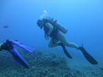 Hawaii Scuba divng 17