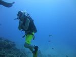 Hawaii Scuba divng 18