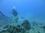 Hawaii Scuba divng 19