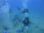 Hawaii Scuba divng 22