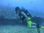 Hawaii Scuba divng 25