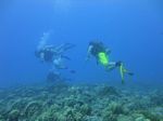 Hawaii Scuba divng 30