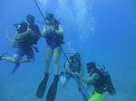 Hawaii Scuba divng 33