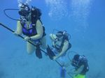 Hawaii Scuba divng 34