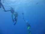 Hawaii Scuba divng 35