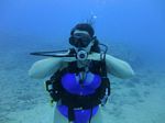 Hawaii Scuba divng 38