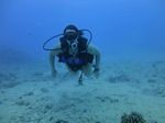 Hawaii Scuba divng 39