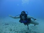 Hawaii Scuba divng 43