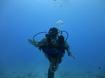 Hawaii Scuba divng 45