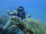 Hawaii Scuba divng 60