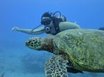 Hawaii Scuba divng 62