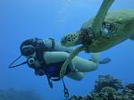 Hawaii Scuba divng 65