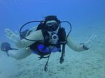 Hawaii Scuba divng 67