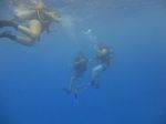 Hawaii Scuba divng 06