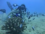 Hawaii Scuba divng 70