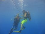 Hawaii Scuba divng 08