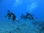 Hawaii Scuba divng 13